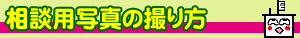 ���k�p�ʐ^�̎B��� 
